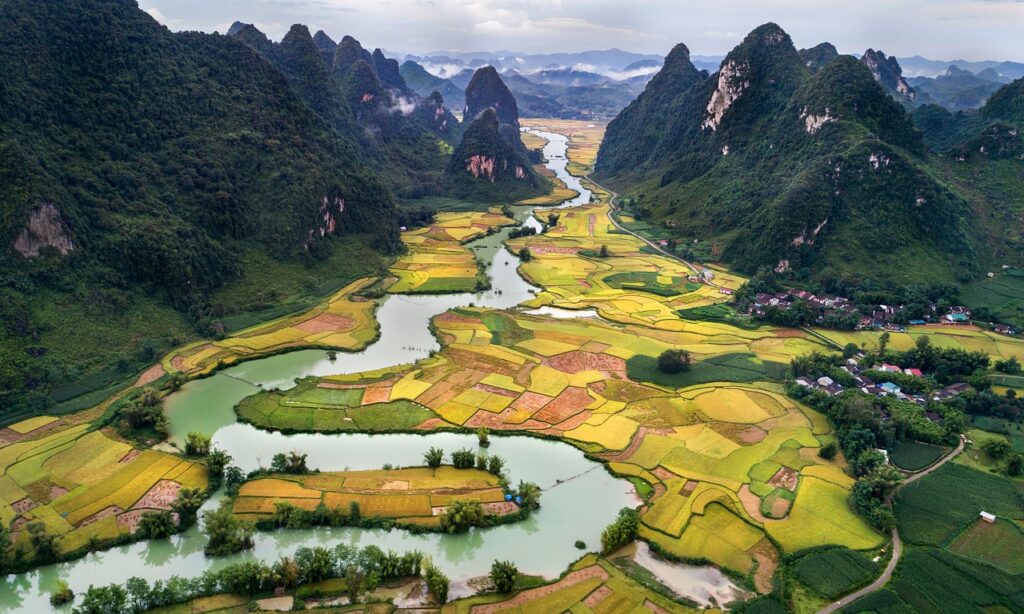vietnam, the land of rice paddies