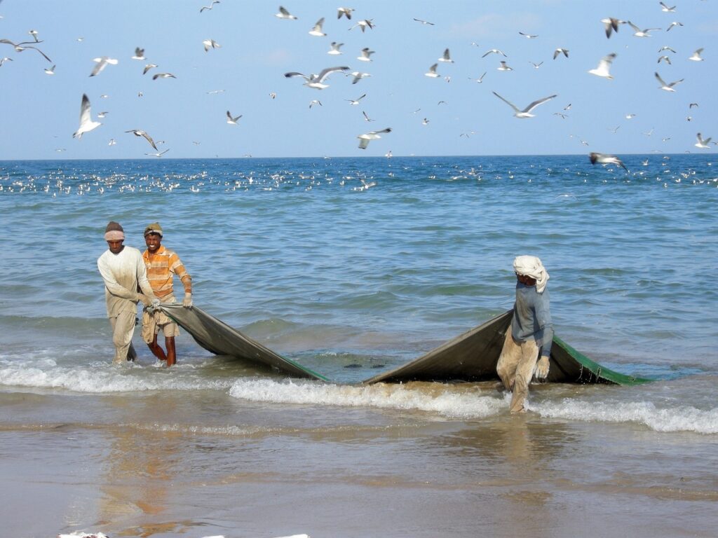ماهی گیری در عمان