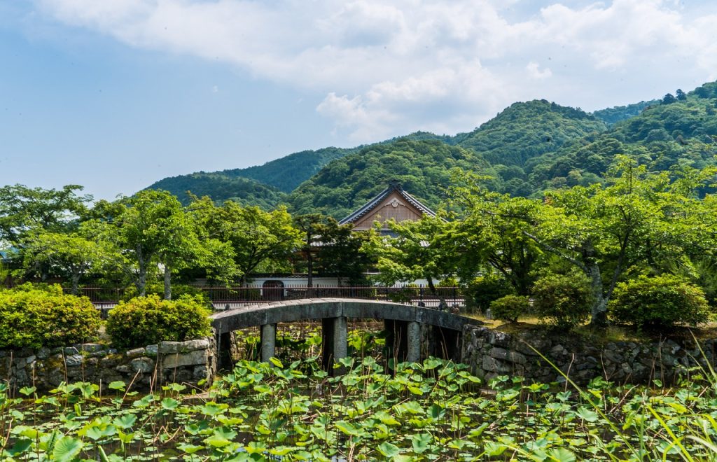 طبیعت زیبای آراشیاما