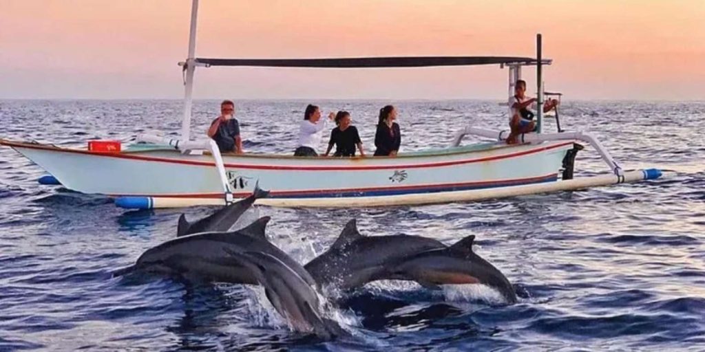 سفر با دلفین ها