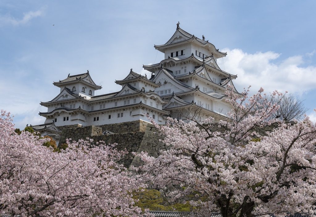 شکوفه‌های بهاری در قلعه ای ژاپنی