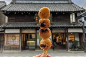 بهترین غذاهای کیوتو 2 kyoto street food japan tours danatrips