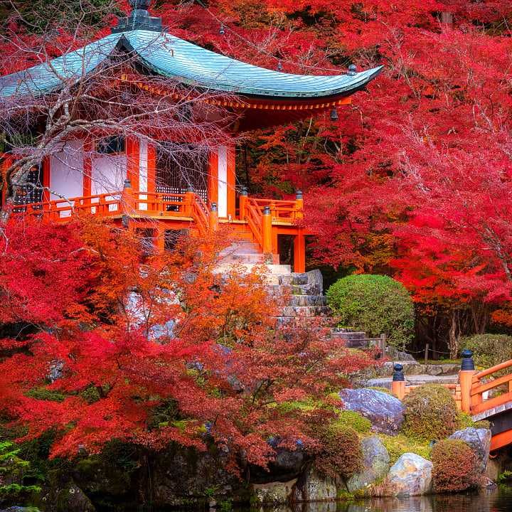 japan danatrips fall