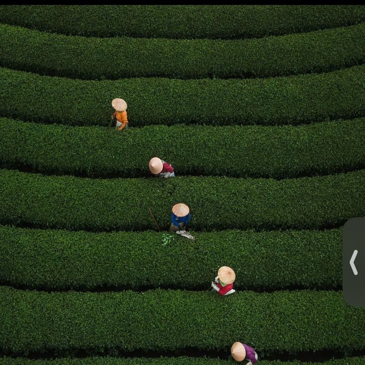 vietnam travel guide danatrips e1737646189313