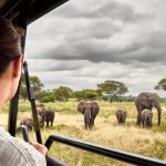 Discover the Serengeti Tanzania