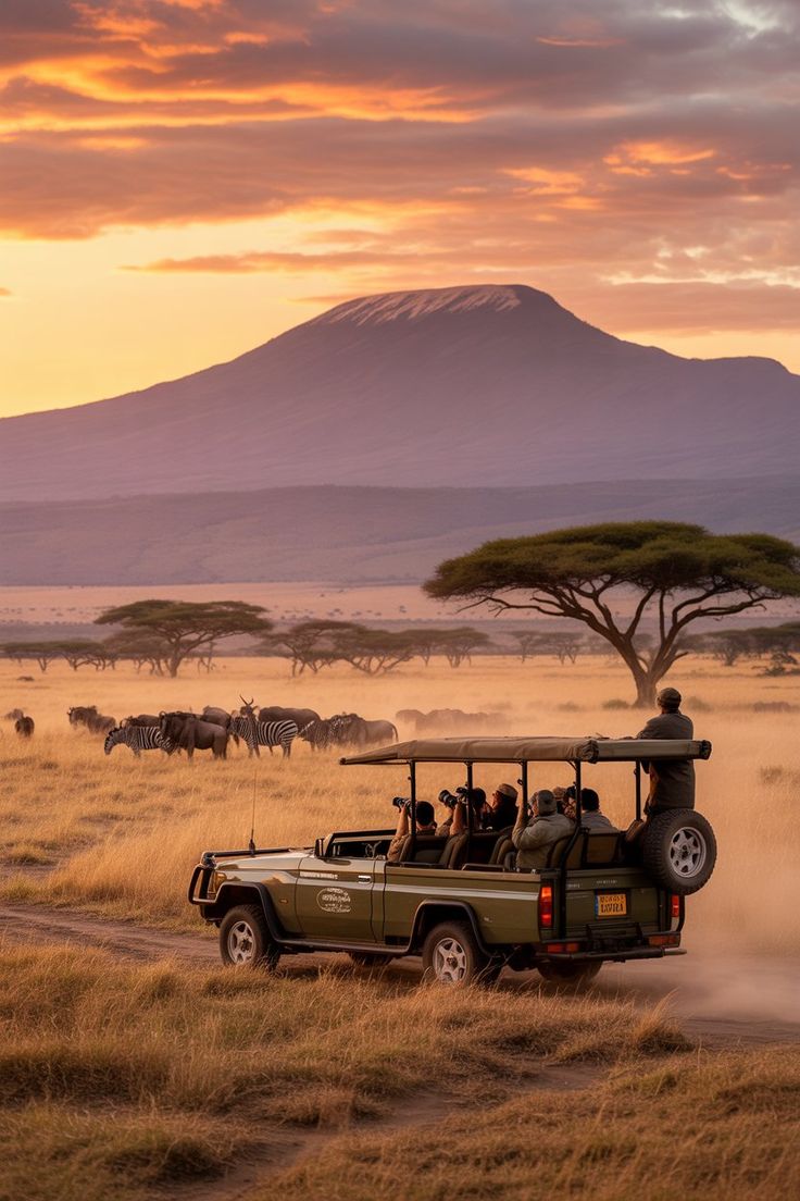 سافاری چیست؟ 19 Epic Safari Tours in Tanzania